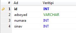 asp net veri çekme