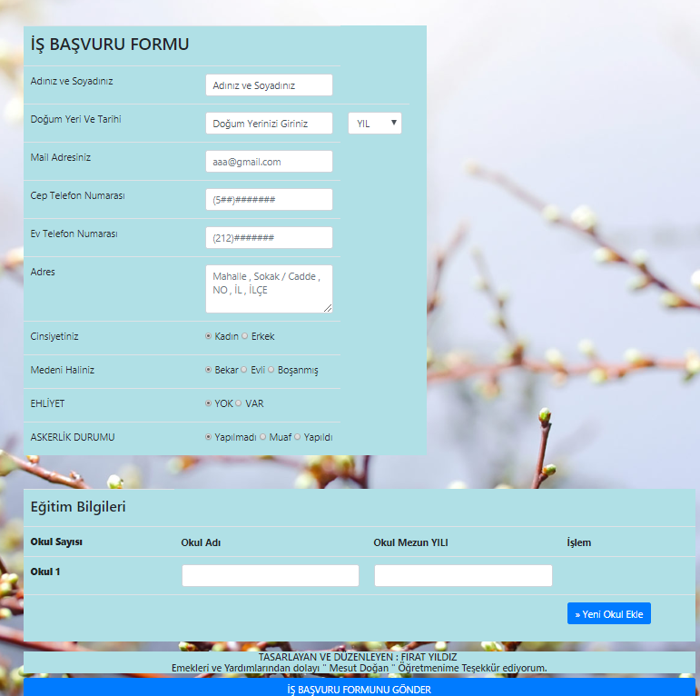 PHP, MYSQL ile Sonsuz Dinamik Formlu ve Admin Panelli İş Başvuru Formu